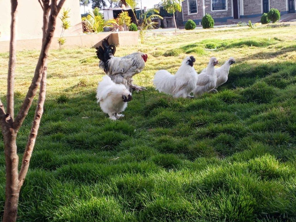 Demliz Farm team